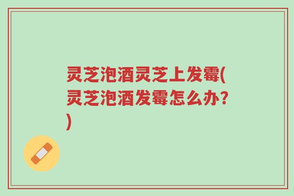 灵芝泡酒灵芝上发霉(灵芝泡酒发霉怎么办?)-第1张图片-超越 灵芝泡酒灵芝上发霉(灵芝泡酒发霉怎么办?)-第1张图片-超越