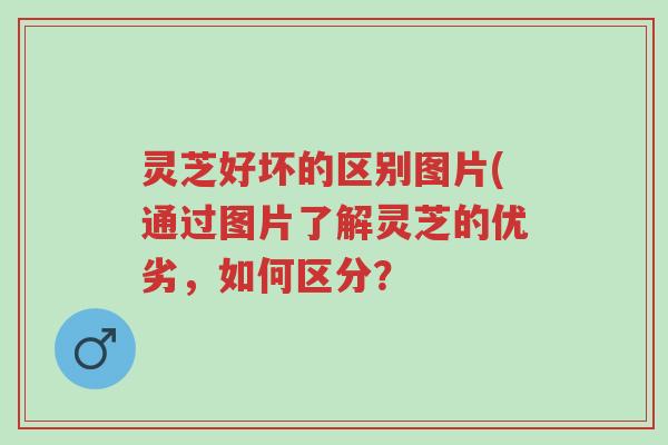 灵芝好坏的区别图片(通过图片了解灵芝的优劣，如何区分？-第1张图片-超越