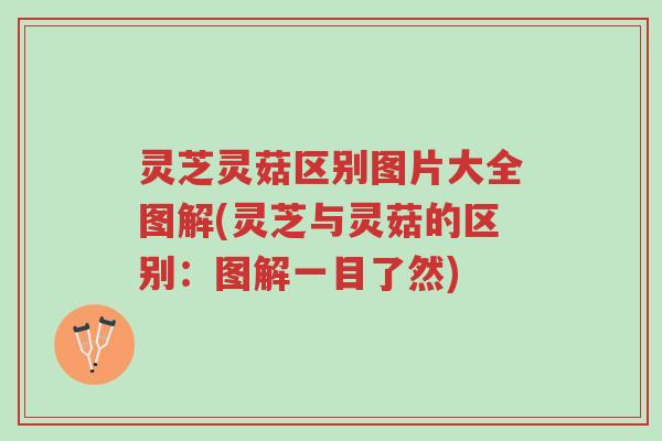 灵芝灵菇区别图片大全图解(灵芝与灵菇的区别:图解一目了然)-第1张图片-超越 灵芝灵菇区别图片大全图解(灵芝与灵菇的区别:图解一目了然)-第1张图片-超越