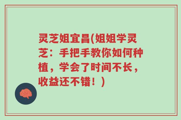 灵芝姐宜昌(姐姐学灵芝：手把手教你如何种植，学会了时间不长，收益还不错！)-第1张图片-超越