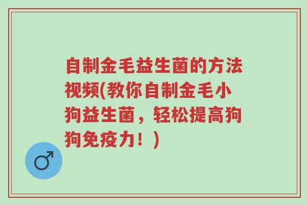 自制金毛益生菌的方法视频(教你自制金毛小狗益生菌，轻松提高狗狗免疫力！)-第1张图片-超越