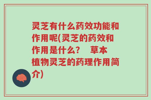 灵芝有什么药效功能和作用呢(灵芝的药效和作用是什么? 草本植物灵芝的药理作用简介)-第1张图片-超越 灵芝有什么药效功能和作用呢(灵芝的药效和作用是什么? 草本植物灵芝的药理作用简介)-第1张图片-超越