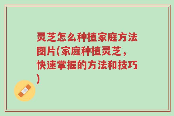 灵芝怎么种植家庭方法图片(家庭种植灵芝,快速掌握的方法和技巧)-第1张图片-超越 灵芝怎么种植家庭方法图片(家庭种植灵芝,快速掌握的方法和技巧)-第1张图片-超越