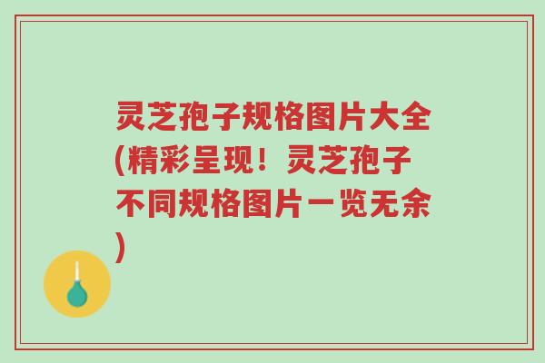 灵芝孢子规格图片大全(精彩呈现!灵芝孢子不同规格图片一览无余)-第1张图片-超越 灵芝孢子规格图片大全(精彩呈现!灵芝孢子不同规格图片一览无余)-第1张图片-超越