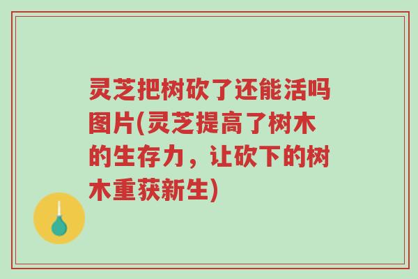 灵芝把树砍了还能活吗图片(灵芝提高了树木的生存力,让砍下的树木重获新生)-第1张图片-超越 灵芝把树砍了还能活吗图片(灵芝提高了树木的生存力,让砍下的树木重获新生)-第1张图片-超越