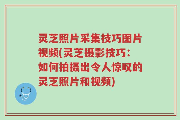 灵芝照片采集技巧图片视频(灵芝摄影技巧:如何拍摄出令人惊叹的灵芝照片和视频)-第1张图片-超越 灵芝照片采集技巧图片视频(灵芝摄影技巧:如何拍摄出令人惊叹的灵芝照片和视频)-第1张图片-超越