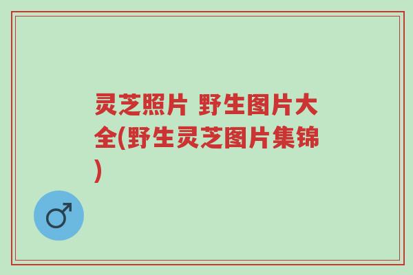 灵芝照片 野生图片大全(野生灵芝图片集锦)-第1张图片-超越 灵芝照片 野生图片大全(野生灵芝图片集锦)-第1张图片-超越