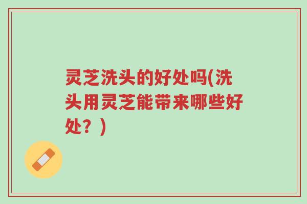 灵芝洗头的好处吗(洗头用灵芝能带来哪些好处?)-第1张图片-超越 灵芝洗头的好处吗(洗头用灵芝能带来哪些好处?)-第1张图片-超越