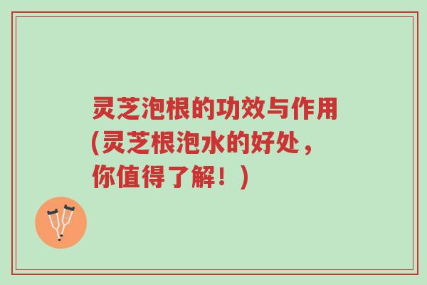 灵芝泡根的功效与作用(灵芝根泡水的好处，你值得了解！)-第1张图片-超越