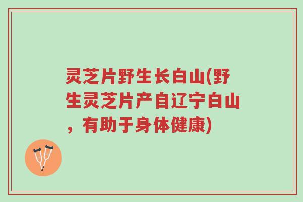 灵芝片野生长白山(野生灵芝片产自辽宁白山，有助于身体健康)-第1张图片-超越
