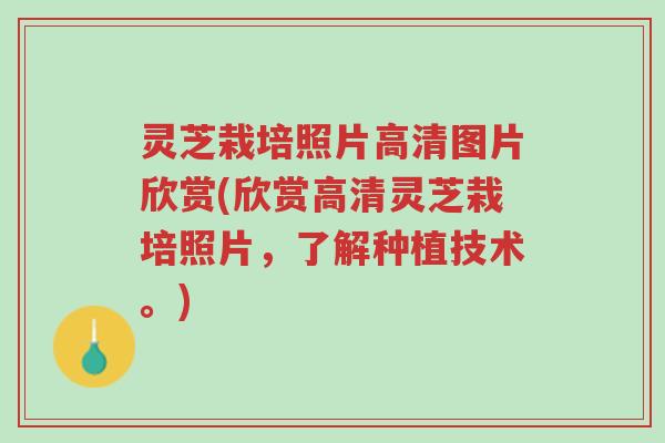 灵芝栽培照片高清图片欣赏(欣赏高清灵芝栽培照片,了解种植技术。)-第1张图片-超越 灵芝栽培照片高清图片欣赏(欣赏高清灵芝栽培照片,了解种植技术。)-第1张图片-超越