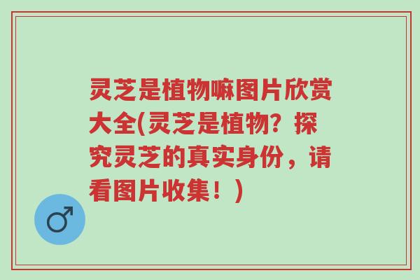 灵芝是植物嘛图片欣赏大全(灵芝是植物?探究灵芝的真实身份,请看图片收集!)-第1张图片-超越 灵芝是植物嘛图片欣赏大全(灵芝是植物?探究灵芝的真实身份,请看图片收集!)-第1张图片-超越