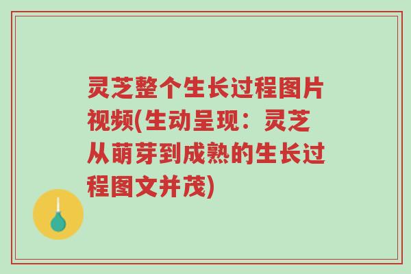 灵芝整个生长过程图片视频(生动呈现：灵芝从萌芽到成熟的生长过程图文并茂)-第1张图片-超越