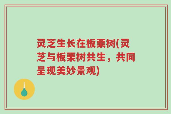 灵芝生长在板栗树(灵芝与板栗树共生,共同呈现美妙景观)-第1张图片-超越 灵芝生长在板栗树(灵芝与板栗树共生,共同呈现美妙景观)-第1张图片-超越