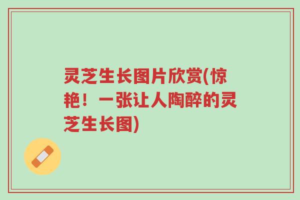 灵芝生长图片欣赏(惊艳！一张让人陶醉的灵芝生长图)-第1张图片-超越