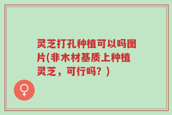 灵芝打孔种植可以吗图片(非木材基质上种植灵芝,可行吗?)-第1张图片-超越 灵芝打孔种植可以吗图片(非木材基质上种植灵芝,可行吗?)-第1张图片-超越