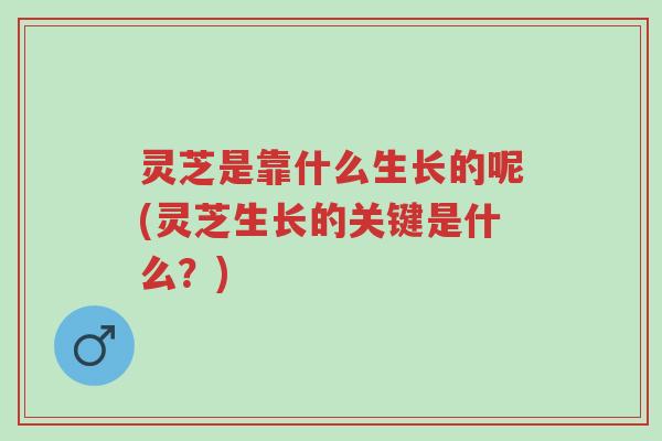 灵芝是靠什么生长的呢(灵芝生长的关键是什么?)-第1张图片-超越 灵芝是靠什么生长的呢(灵芝生长的关键是什么?)-第1张图片-超越