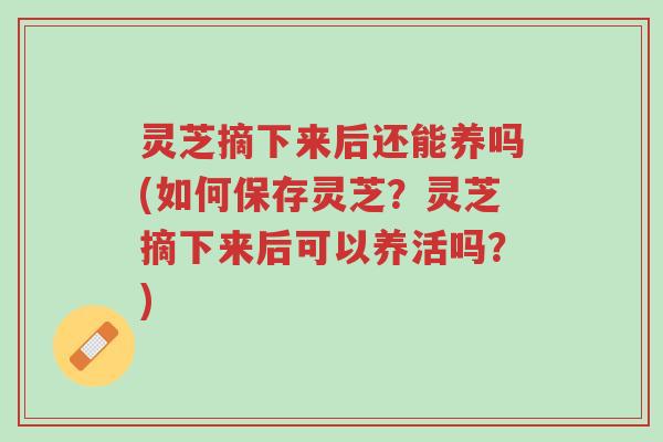 灵芝摘下来后还能养吗(如何保存灵芝?灵芝摘下来后可以养活吗?)-第1张图片-超越 灵芝摘下来后还能养吗(如何保存灵芝?灵芝摘下来后可以养活吗?)-第1张图片-超越