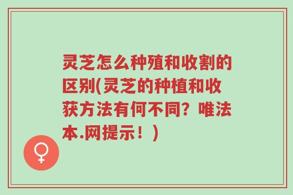 灵芝怎么种殖和收割的区别(灵芝的种植和收获方法有何不同?唯法本.网提示!)-第1张图片-超越 灵芝怎么种殖和收割的区别(灵芝的种植和收获方法有何不同?唯法本.网提示!)-第1张图片-超越