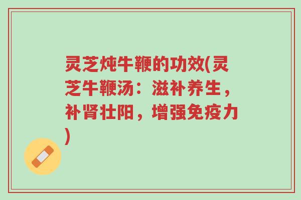 灵芝炖牛鞭的功效(灵芝牛鞭汤:滋补养生,补肾壮阳,增强免疫力)-第1张图片-超越 灵芝炖牛鞭的功效(灵芝牛鞭汤:滋补养生,补肾壮阳,增强免疫力)-第1张图片-超越