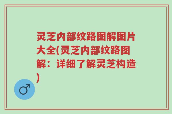 灵芝内部纹路图解图片大全(灵芝内部纹路图解：详细了解灵芝构造)-第1张图片-超越
