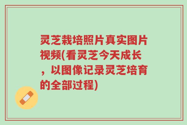 灵芝栽培照片真实图片视频(看灵芝今天成长,以图像记录灵芝培育的全部过程)-第1张图片-超越 灵芝栽培照片真实图片视频(看灵芝今天成长,以图像记录灵芝培育的全部过程)-第1张图片-超越