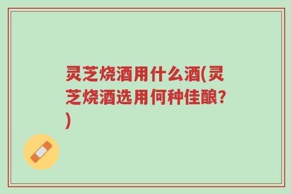 灵芝烧酒用什么酒(灵芝烧酒选用何种佳酿？)-第1张图片-超越