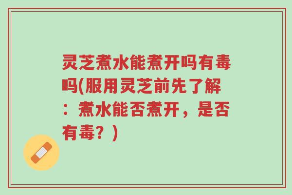灵芝煮水能煮开吗有毒吗(服用灵芝前先了解:煮水能否煮开,是否有毒?)-第1张图片-超越 灵芝煮水能煮开吗有毒吗(服用灵芝前先了解:煮水能否煮开,是否有毒?)-第1张图片-超越