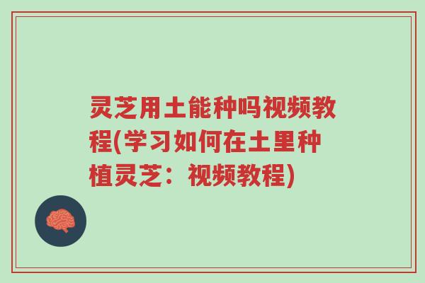 灵芝用土能种吗视频教程(学习如何在土里种植灵芝:视频教程)-第1张图片-超越 灵芝用土能种吗视频教程(学习如何在土里种植灵芝:视频教程)-第1张图片-超越