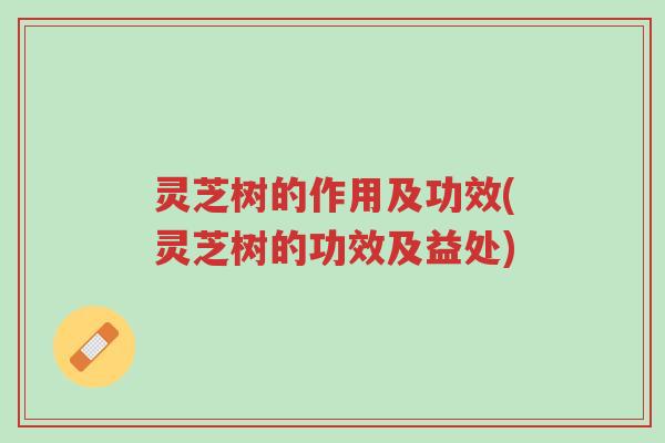 灵芝树的作用及功效(灵芝树的功效及益处)-第1张图片-超越 灵芝树的作用及功效(灵芝树的功效及益处)-第1张图片-超越