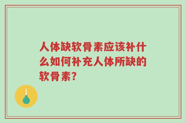 人体缺软骨素应该补什么如何补充人体所缺的软骨素?-第1张图片-超越 人体缺软骨素应该补什么如何补充人体所缺的软骨素?-第1张图片-超越