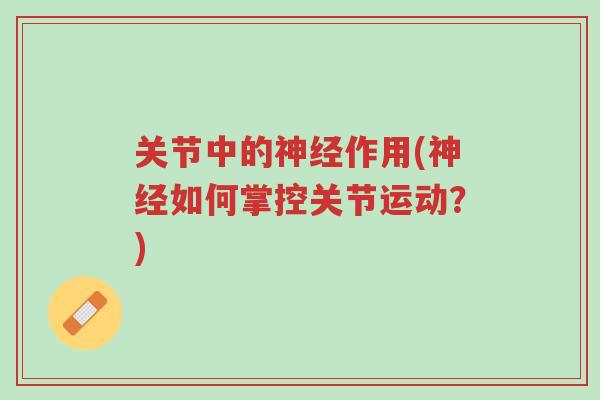 关节中的神经作用(神经如何掌控关节运动?)-第1张图片-超越 关节中的神经作用(神经如何掌控关节运动?)-第1张图片-超越