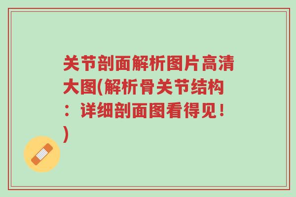 关节剖面解析图片高清大图(解析骨关节结构:详细剖面图看得见!)-第1张图片-超越 关节剖面解析图片高清大图(解析骨关节结构:详细剖面图看得见!)-第1张图片-超越