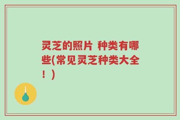 灵芝的照片 种类有哪些(常见灵芝种类大全！)-第1张图片-超越