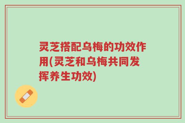 灵芝搭配乌梅的功效作用(灵芝和乌梅共同发挥养生功效)-第1张图片-超越 灵芝搭配乌梅的功效作用(灵芝和乌梅共同发挥养生功效)-第1张图片-超越