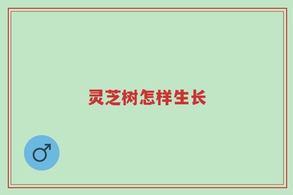 灵芝树怎样生长-第1张图片-超越