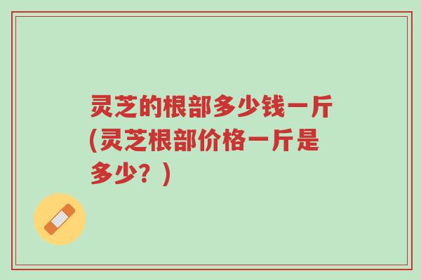 灵芝的根部多少钱一斤(灵芝根部价格一斤是多少?)-第1张图片-超越 灵芝的根部多少钱一斤(灵芝根部价格一斤是多少?)-第1张图片-超越