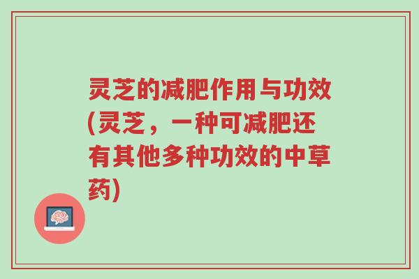 灵芝的减肥作用与功效(灵芝,一种可减肥还有其他多种功效的中草药)-第1张图片-超越 灵芝的减肥作用与功效(灵芝,一种可减肥还有其他多种功效的中草药)-第1张图片-超越