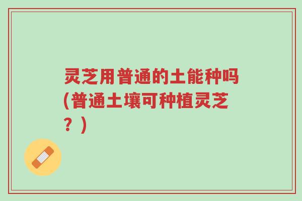 灵芝用普通的土能种吗(普通土壤可种植灵芝?)-第1张图片-超越 灵芝用普通的土能种吗(普通土壤可种植灵芝?)-第1张图片-超越