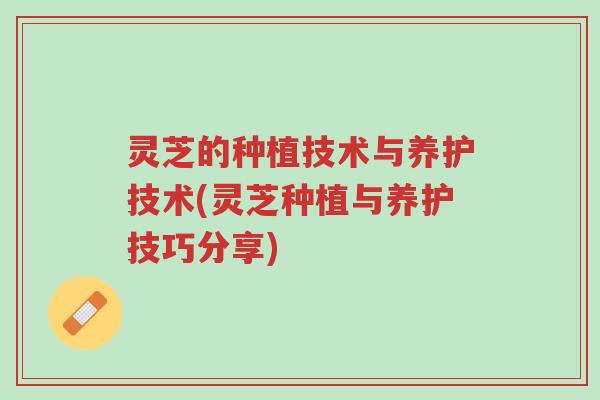 灵芝的种植技术与养护技术(灵芝种植与养护技巧分享)-第1张图片-超越