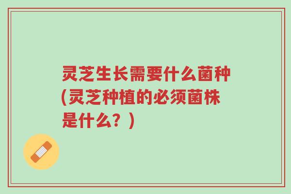 灵芝生长需要什么菌种(灵芝种植的必须菌株是什么?)-第1张图片-超越 灵芝生长需要什么菌种(灵芝种植的必须菌株是什么?)-第1张图片-超越