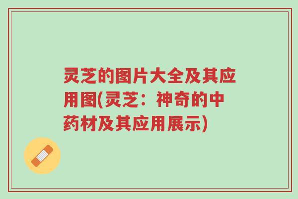 灵芝的图片大全及其应用图(灵芝:神奇的中药材及其应用展示)-第1张图片-超越 灵芝的图片大全及其应用图(灵芝:神奇的中药材及其应用展示)-第1张图片-超越