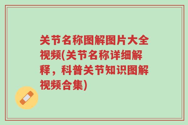 关节名称图解图片大全视频(关节名称详细解释，科普关节知识图解视频合集)-第1张图片-超越