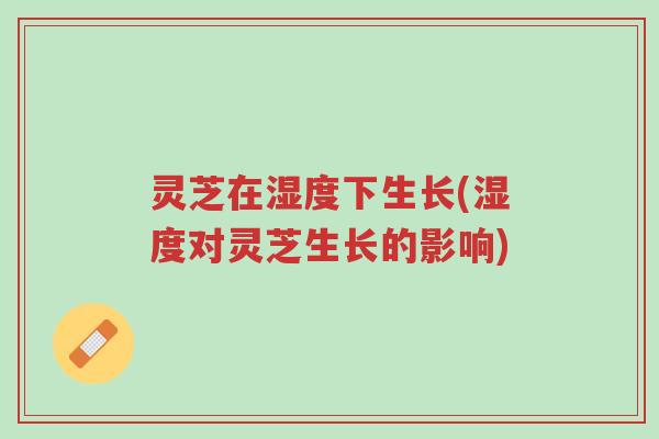 灵芝在湿度下生长(湿度对灵芝生长的影响)-第1张图片-超越 灵芝在湿度下生长(湿度对灵芝生长的影响)-第1张图片-超越