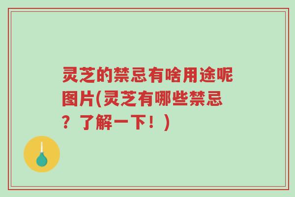 灵芝的禁忌有啥用途呢图片(灵芝有哪些禁忌?了解一下!)-第1张图片-超越 灵芝的禁忌有啥用途呢图片(灵芝有哪些禁忌?了解一下!)-第1张图片-超越