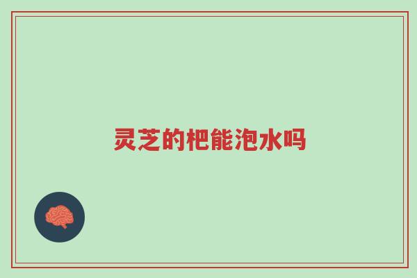 灵芝的杷能泡水吗-第1张图片-超越 灵芝的杷能泡水吗-第1张图片-超越
