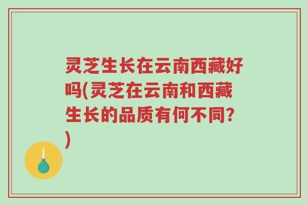 灵芝生长在云南西藏好吗(灵芝在云南和西藏生长的品质有何不同?)-第1张图片-超越 灵芝生长在云南西藏好吗(灵芝在云南和西藏生长的品质有何不同?)-第1张图片-超越