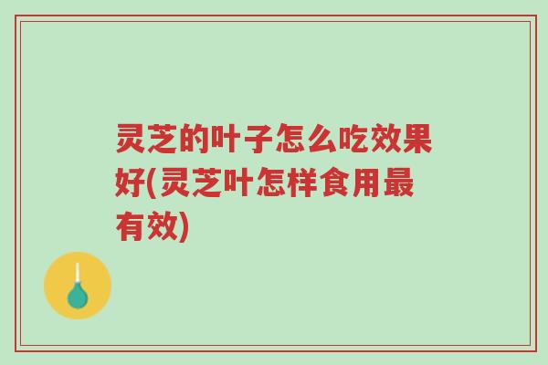 灵芝的叶子怎么吃效果好(灵芝叶怎样食用最有效)-第1张图片-超越 灵芝的叶子怎么吃效果好(灵芝叶怎样食用最有效)-第1张图片-超越