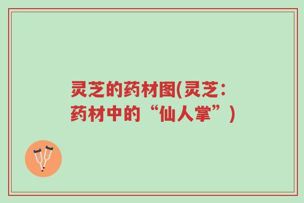 灵芝的药材图(灵芝:药材中的“仙人掌”)-第1张图片-超越 灵芝的药材图(灵芝:药材中的“仙人掌”)-第1张图片-超越