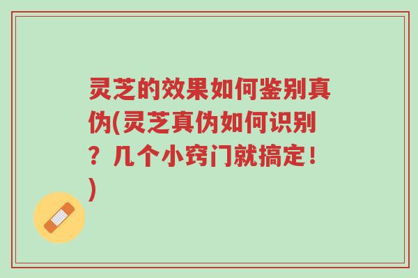 灵芝的效果如何鉴别真伪(灵芝真伪如何识别?几个小窍门就搞定!)-第1张图片-超越 灵芝的效果如何鉴别真伪(灵芝真伪如何识别?几个小窍门就搞定!)-第1张图片-超越